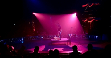 🎪 African Circus 